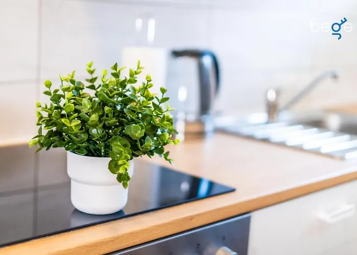 Bege Flatlab Appartement