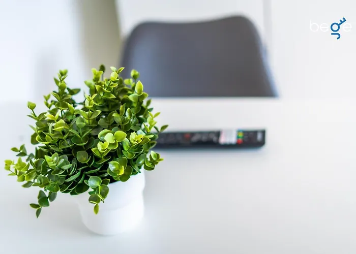 Bege Flatlab Oberhausen (North Rhine-Westphalia)